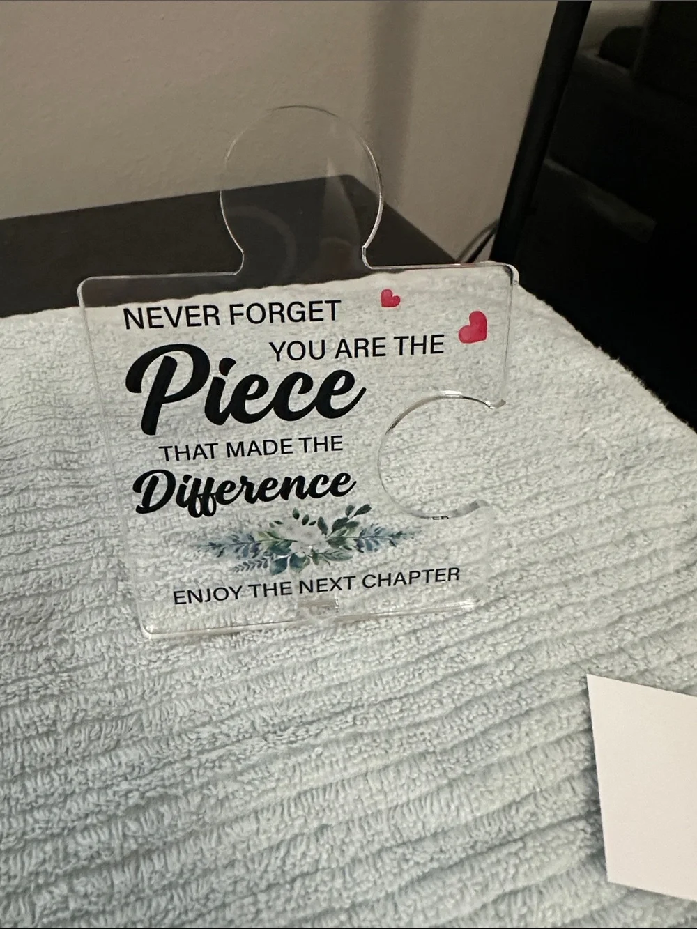 Clear Acrylic 'You Are the Piece' Decor - Blue & Pink NWT